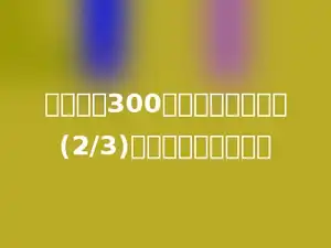 一件上衣300元，裤子是上衣的(2/3)，一条裤子多少钱？