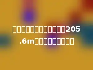 有一个半圆形广场的周长是205.6m，求该广场的面积？