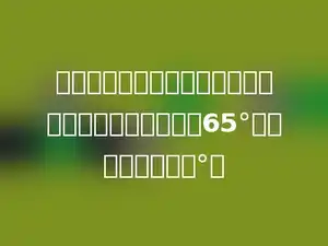 妈妈送给小明一个等腰三角形的风筝，它的一个底角是65°，它的顶角是多少°．